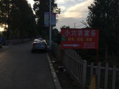 -小六农家乐(崇明西沙湿地店)
