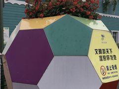 -荷兰花海