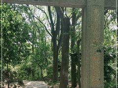 -上海佘山国家森林公园天马山园