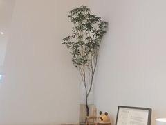 -卡旺卡(阜阳财富广场店)