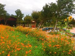 -武汉紫薇都市田园