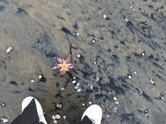 -观唐（国际）度假村温泉