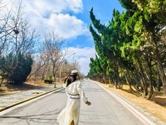 -养马岛旅游度假区