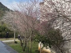 -潜口民宅博物馆
