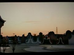 -王借岗森林公园
