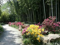 -荆川公园