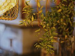 -MAISON门前杂货店