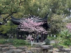 -范蠡湖公园