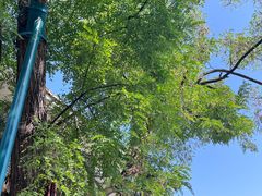 -遵义会议纪念馆