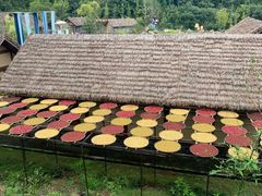 -黄龙溪欢乐田园