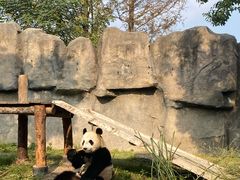 -上海野生动物园
