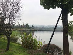 -枫香湖儿童公园