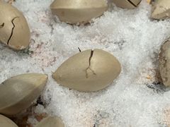 -中粮·祥云小镇
