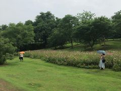 -钟山体育运动公园
