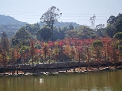 -广州市帽峰山景区