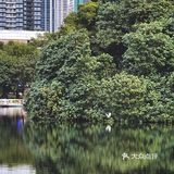深圳游玩｜来荔枝公园打卡深圳超美水天辉映的建筑风光