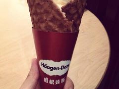 单球丹麦筒-哈根达斯(西安北郊店)