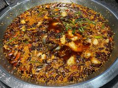 -胖子鱼·天水麻辣鱼火锅(秦州407店)