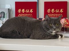 -御宝贝24h宠物医院·转诊中心·CT核磁血透中心(厦门总院)