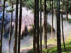 -玉苍山国家森林公园