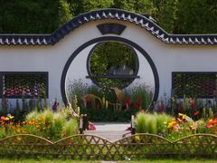 -上海共青森林公园