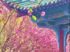 -庾园