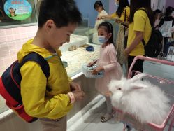 -Moni星球萌宠·小马宝莉·灵蛇·高端高阶全萌宠互动体验俱乐部(红豆国际广场店)