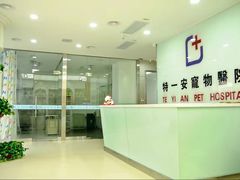 -特一安24小时宠物医院·骨科·中兽医