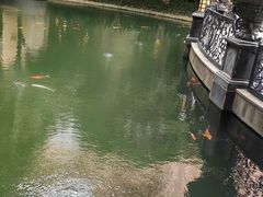 -上海浦东星河湾酒店