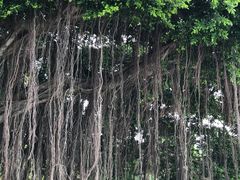 -胡里山炮台