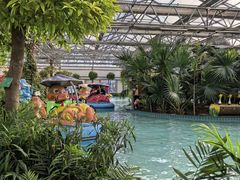 -南宫五洲植物乐园