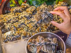 -乔哥铭洋海鲜自助(皇城恒隆广场店)