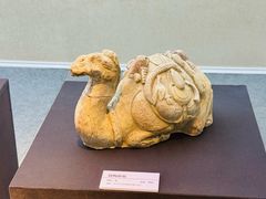 -安阳博物馆