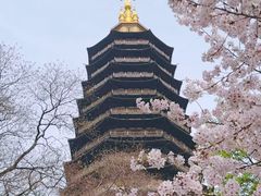 -红梅公园