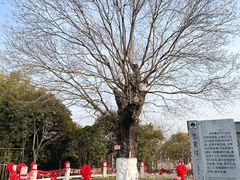 -董永七仙女文化园