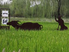 -北坞公园