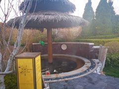 -大连金石滩绿发温泉假日酒店