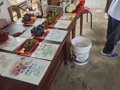 -马陆小张葡萄园农家乐