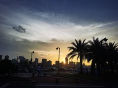 -野狸岛