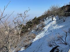 -泰山风景名胜区