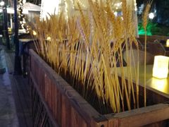 -JUKEBOX玖部音乐餐厅(华侨城店)