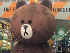 -line friends(明洞旗舰店)