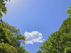 -青峰峡国家森林公园