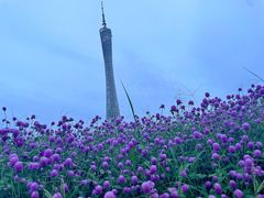 -海心沙亚运公园