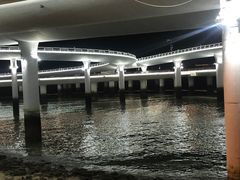 -演武大桥观景平台