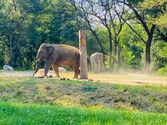 -北京野生动物园