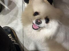 -武胜猪肝面麻哥面(先锋路店)