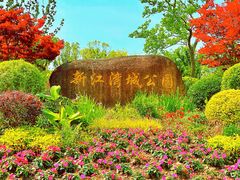 -新江湾城公园