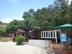 -枫露马术学院(藏书校区)