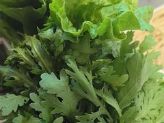 -宴全牛粤来越牛潮汕鲜牛肉火锅(海州万达广场店)